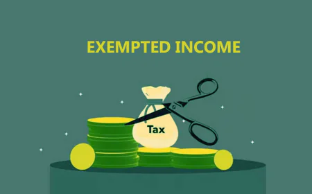Earnings That Stay Untouched by Tax: Legal Ways to Build Exempt Income in India