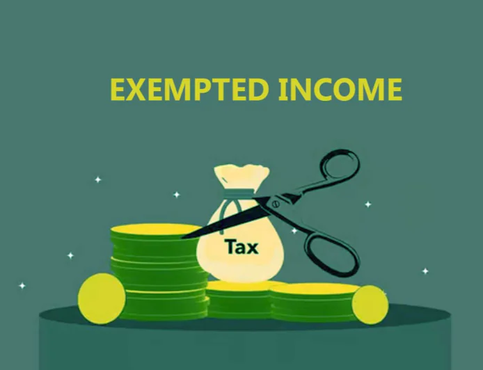 Earnings That Stay Untouched by Tax: Legal Ways to Build Exempt Income in India