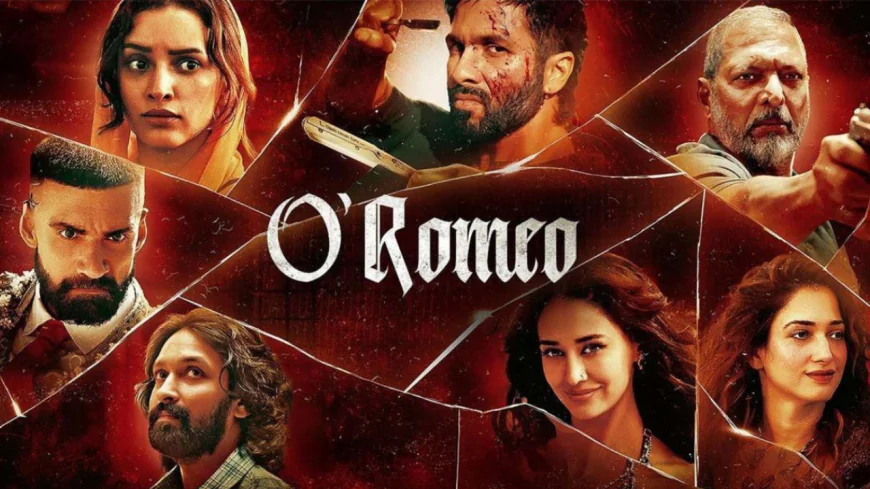 Race Past the ₹30 Crore Mark: ‘O’ Romeo’ Defies Weekend Disruptions