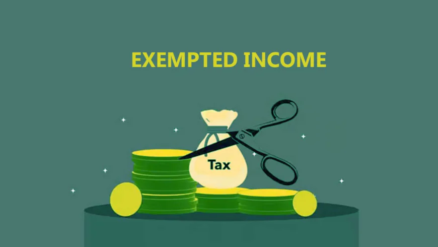 Earnings That Stay Untouched by Tax: Legal Ways to Build Exempt Income in India